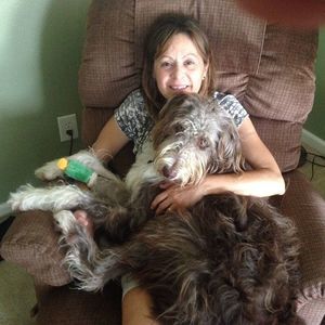 Meet your Posher, Laura